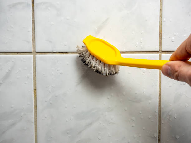 Best Mold Remediation  in Hobbs, NM