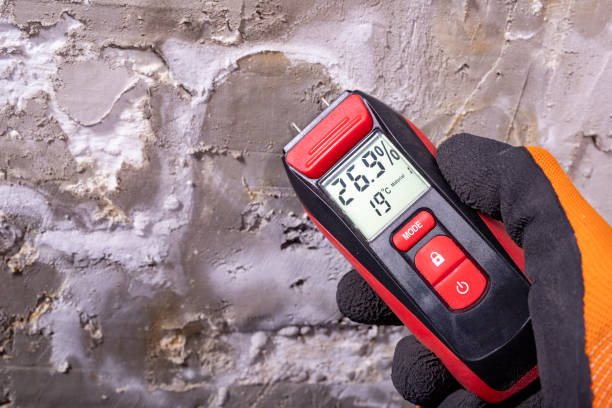 Professional Mold Removal in Hobbs, NM